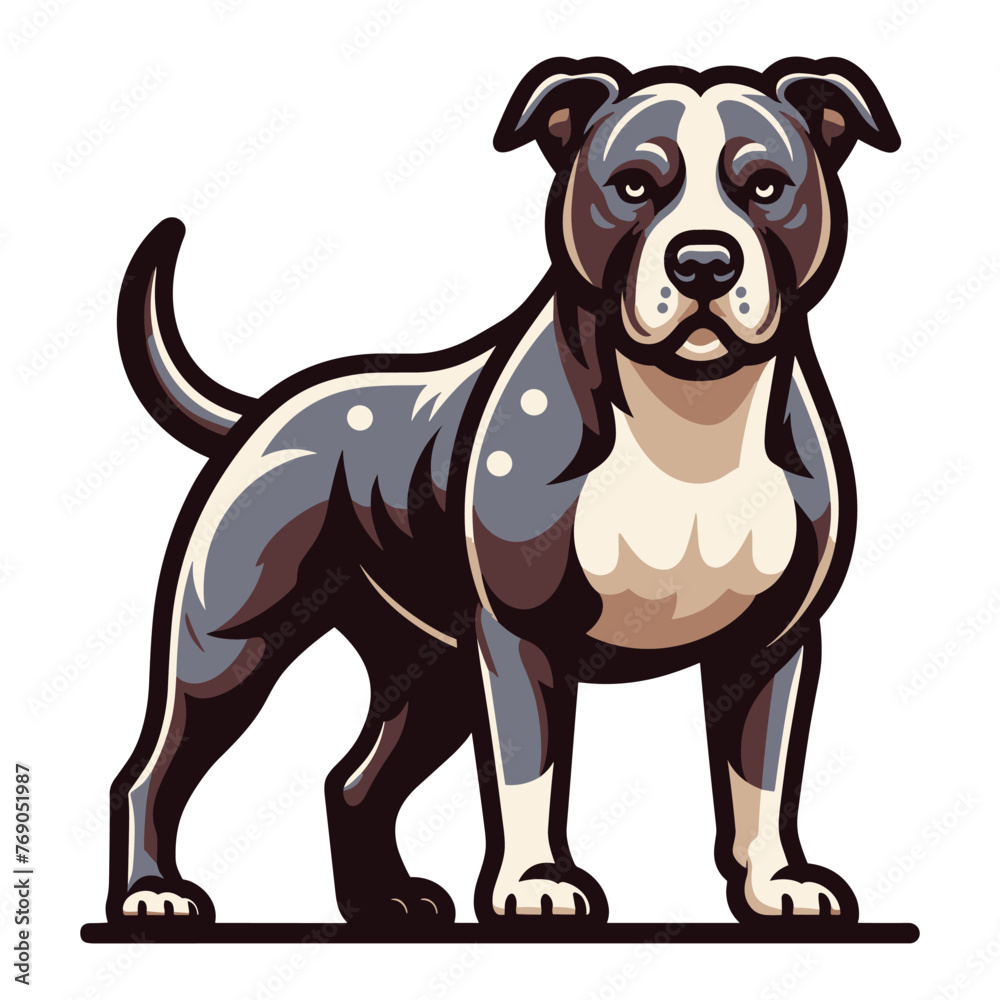 Fototapeta premium Pitbull bulldog full body design illustration, Full-length portrait of a standing animal pet pitbull terrier dog. Vector template isolated on white background