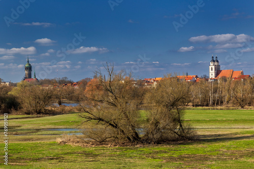Blick von den Elbauen auf die Altstadt, Lutherstadt Wittenberg, Sachsen Anhalt, Deutschland < english> Elbe meadows, Lutherstadt Wittenberg, Saxony Anhalt, Germany