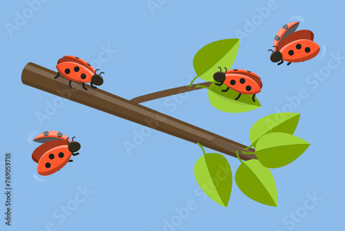 3D Isometric Flat Vector Illustration of Ladybugs, Cute Funny Insects