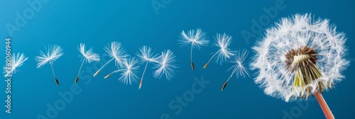 Dandelion seed being carried away by the wind  creating a whimsical scene with space for text.