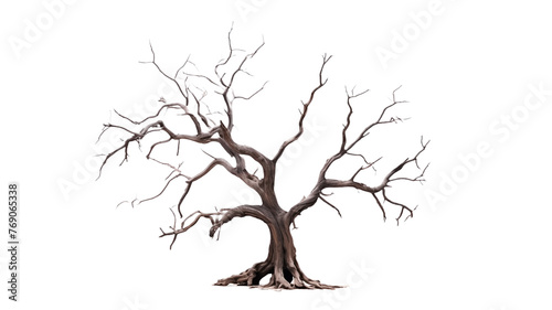 Dead tree isolated on transparent or white background.  
