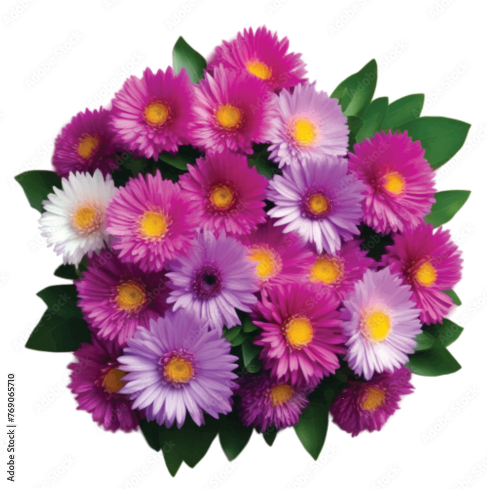 Top view beautiful flower arrangement isolated on white background with Aster Top view beautiful flower arrangement isolated on white background with Aster