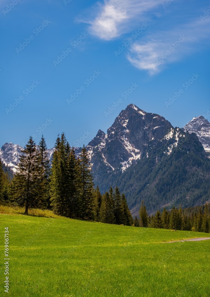 View of the mountains from a deep mountain valley during a spring morning. Bielovodska valley in High Tatras mountains at lovely morning sunrise famous tourist destination in High Tatras,Slovakia