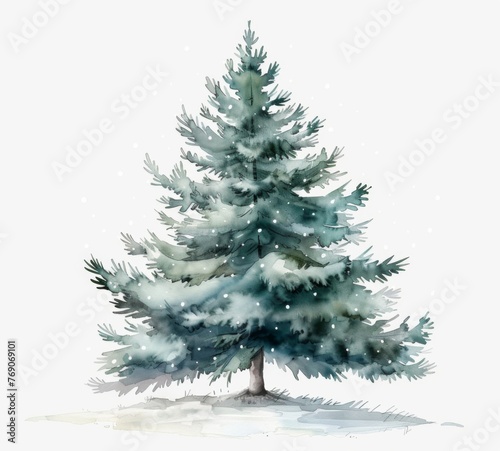 Spruce tree, watercolor clip art style isolated  on a white background, winter theme, Christmas tree, snowflakes, neutral colors, dark green and gray tones, detailed.