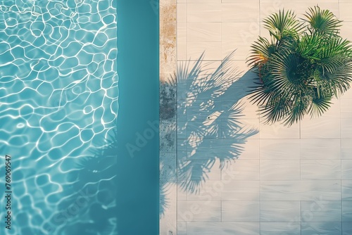 A serene pool glistens under the sun, with a majestic palm tree providing shade. The scene is a perfect blend of relaxation and tropical beauty, view from above