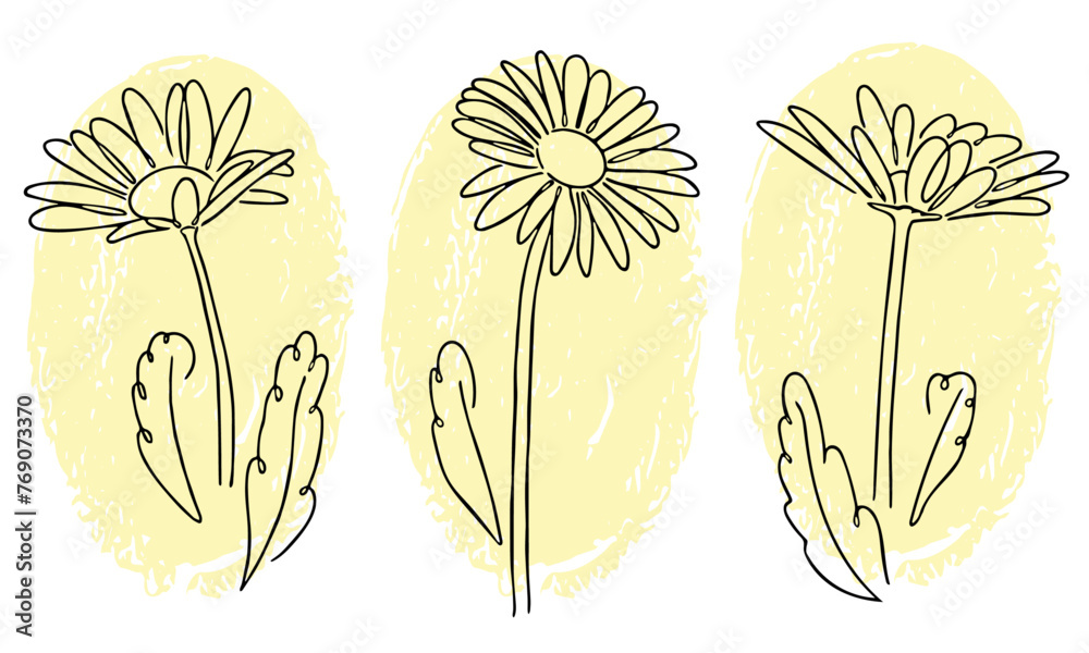 Αυτοκόλλητο Set of 3 hand drawn outlines of a oxeye daisy design
