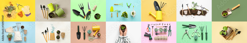 Obraz premium Collage of gardening supplies and plants on color background