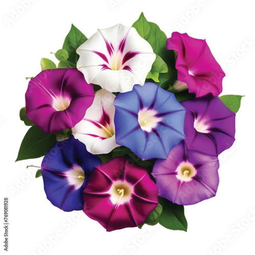 Top view beautiful flower arrangement isolated on white background with morning glory 