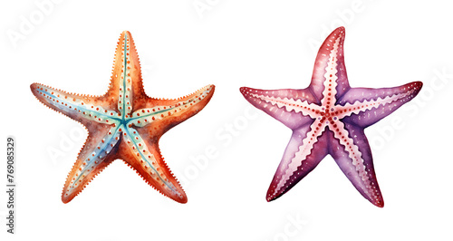 Starfish, watercolor clipart illustration with isolated background.