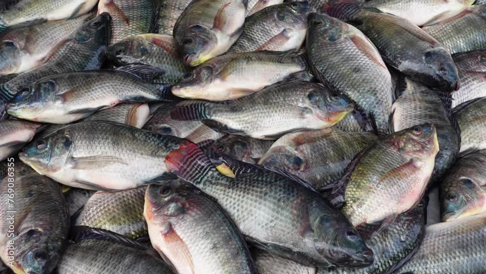 Asian Tilapia fish displayed for sale in the market. Asian Tilapia fish displayed for sale in the market.