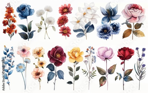Set of watercolor floral elements including roses and wildflowers in various colors in the clip art style with a white background and pastel color palette, minimalistic designs, hand drawn art.