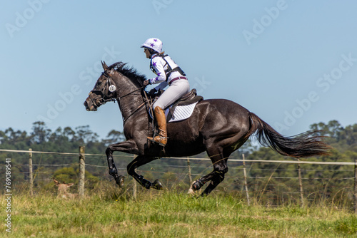 Equestrian Competition 27