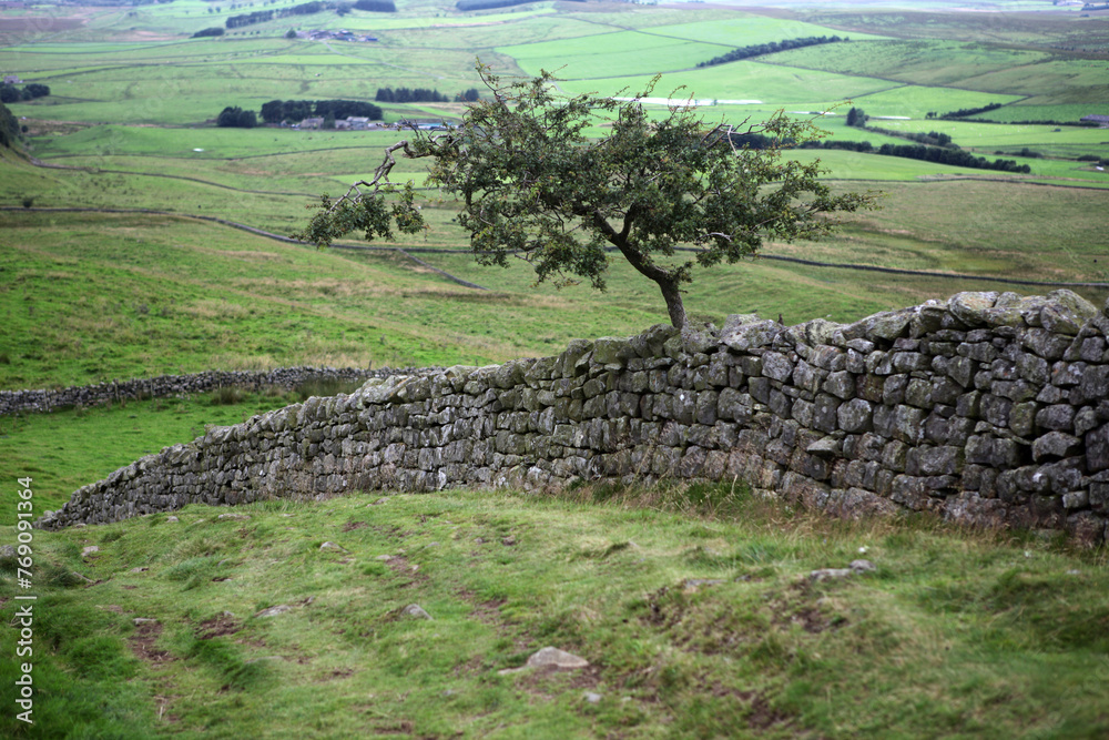 Along the Hadrian's wall between Gilsland and Twice Brewed - Northumberland - England - UK