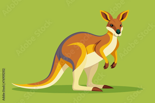 Vector design of a Kangaroo