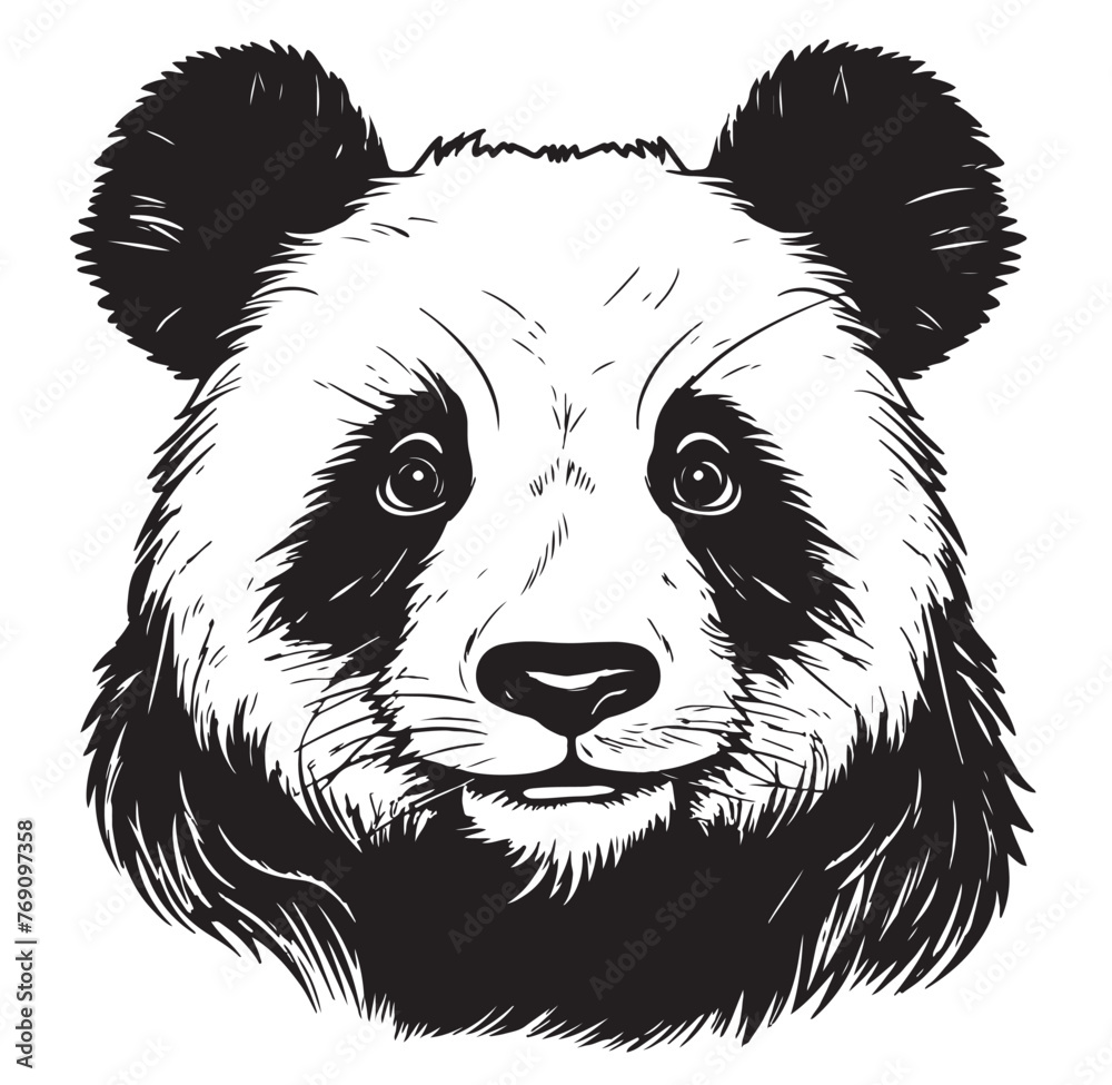 Black and white vector sketch of a Giant Panda face