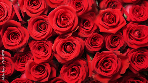 beautiful red roses  background texture