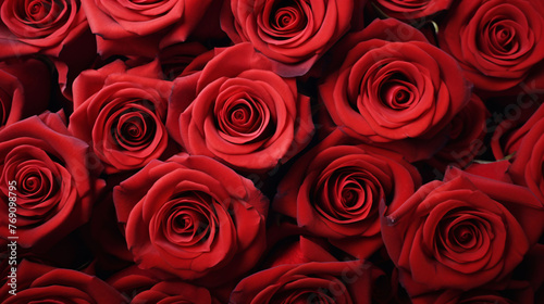 beautiful red roses  background texture