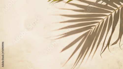 Palm leaf shadow on sand, top view