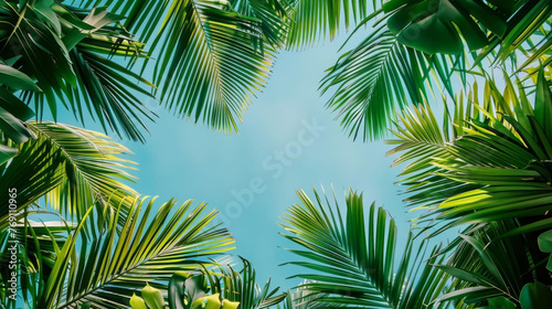  palm leaves background frame, empty copy space in the middle 