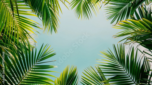  palm leaves background frame, empty copy space in the middle  © BHZshop