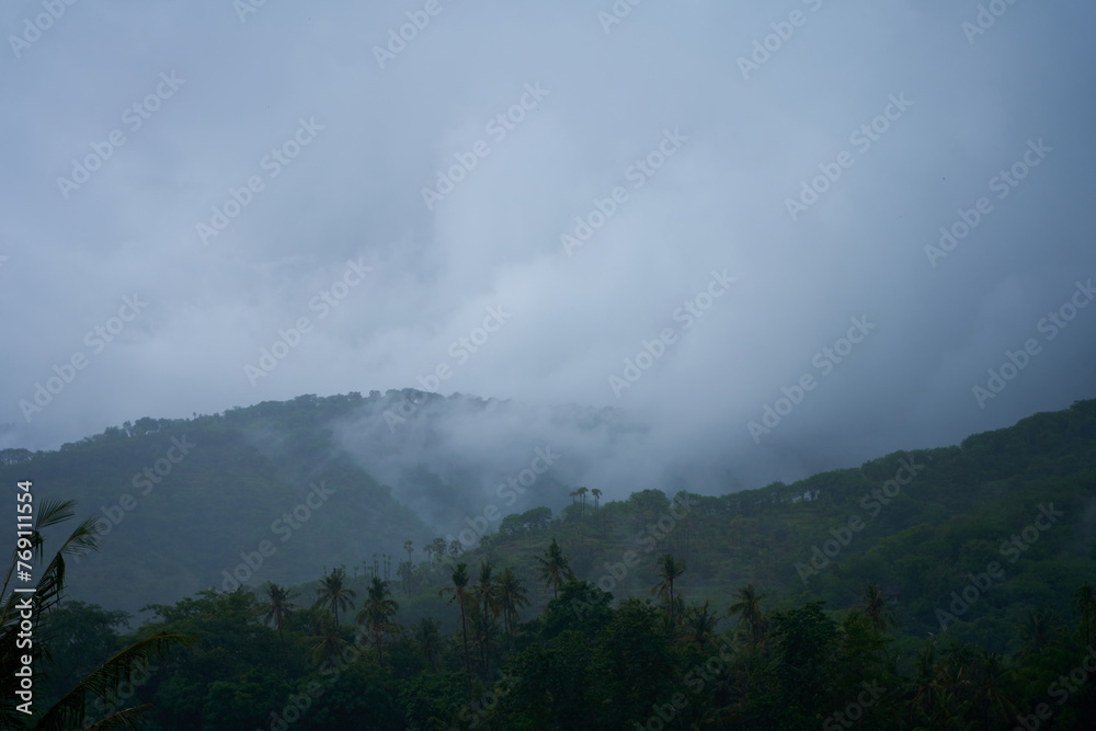 A tropical rainstorm in a rice field with cascading mountains and palm trees.