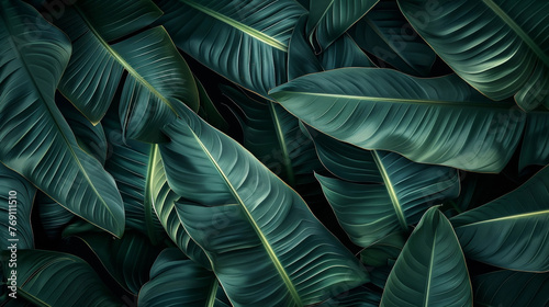  Leaves texture background, elegant tropical banana leaf details, nature wallpaper