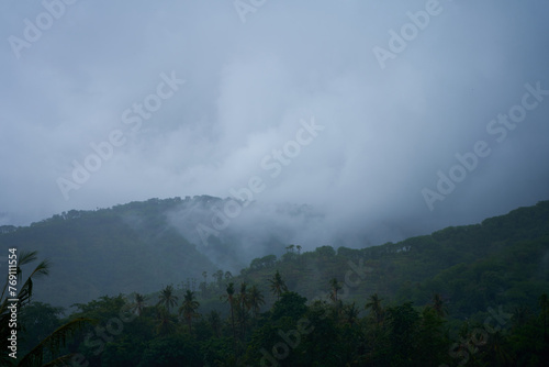 A tropical rainstorm in a rice field with cascading mountains and palm trees. © Kate