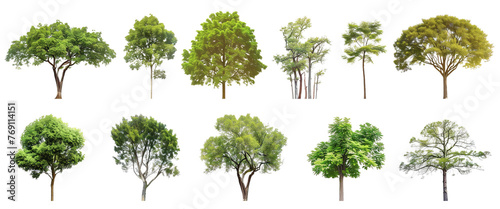 A collection of different types of trees on a png transparent background. photo