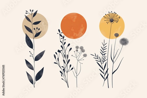 Trendy contemporary collage botanical minimalist wall art poster