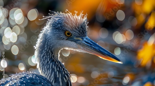  Bird with water-drenched face and blurry background