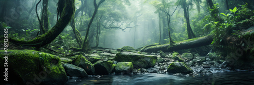 Rainforest Beauty. River Flow in the Green Wilderness