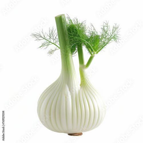 fennel, food, vegetable, fresh, green, healthy, organic, isolated, bulb, white, ingredient, leaf, anise, raw, vegetables, garlic, plant, vegetarian, diet, herb, onion, salad, nutrition, nature, spice