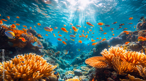 Underwater Life in the Coral Reef © EwaStudio