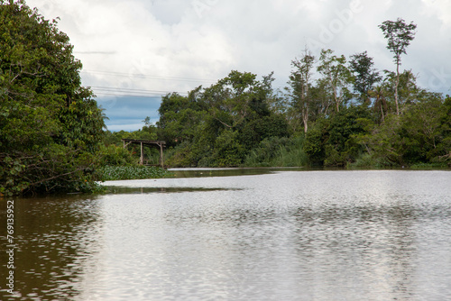 cauce del rio Klias en Borneo, hábitat del Mono narigudo (Nasalis larvatus) photo