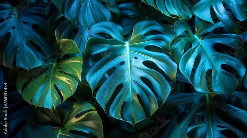 Close-up of Monstera Leaves Under Blue and Green Neon Lights Generative AI