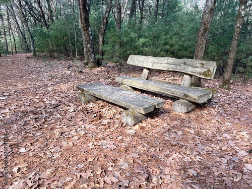 Rustic bench on the Ice Age Trail