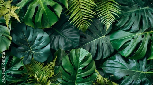 Lush Tropical Backdrop with Monstera  Palm Fern  and Ornamental Plants Generative AI