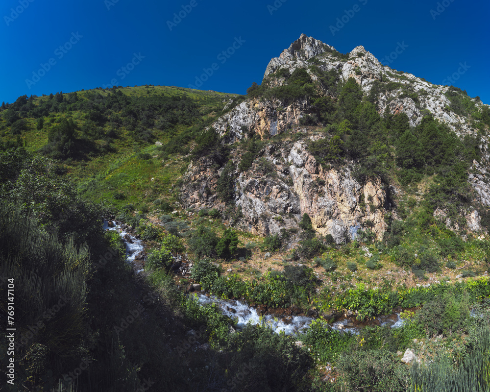 Obraz premium mountain stream river in the field in the gorge in summer