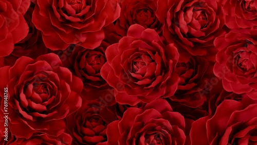 Red Roses on the alpha channel. Video with red roses. The video is suitable for a transition or a beautiful effect. Roses open and close again. Realistic roses in 3D.