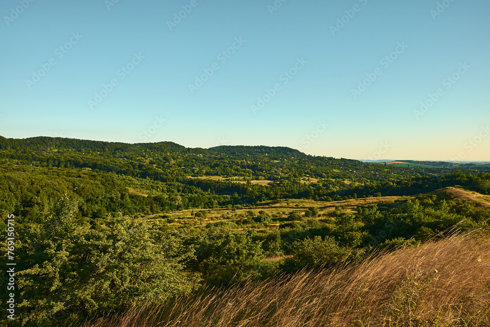 Lush green valley with tall grass and trees in the foreground and mountains in the background.