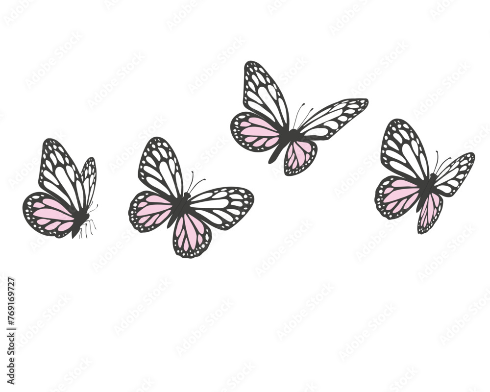 Fototapeta premium flock of cololorful butterflies flies. Butterfly set.monarch tawny spring butterfly