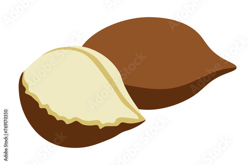 color isolated snake fruit in flat style in vector. image of natural healthy eco food.template for logo sticker poster print decor design