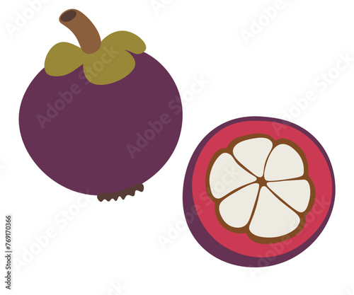 color isolated mangosteen fruit in flat style in vector. image of natural healthy eco food.template for logo sticker poster print decor design