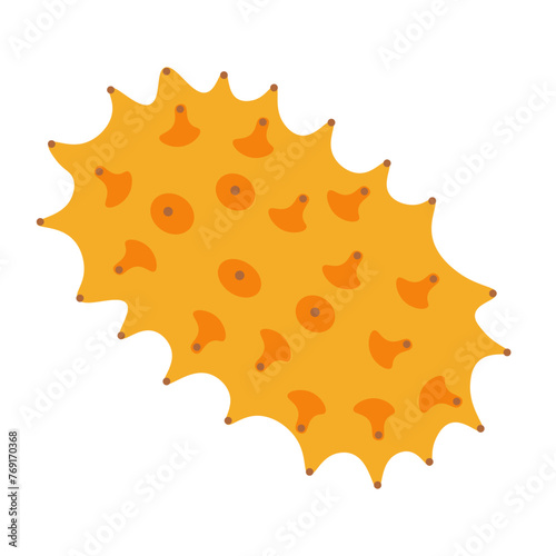 color isolated kiwano fruit in flat style in vector. image of natural healthy eco food.template for logo sticker poster print decor design