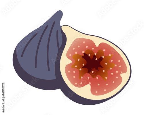 color isolated fruit fig in flat style in vector. image of natural healthy eco food.template for logo sticker poster print decor design