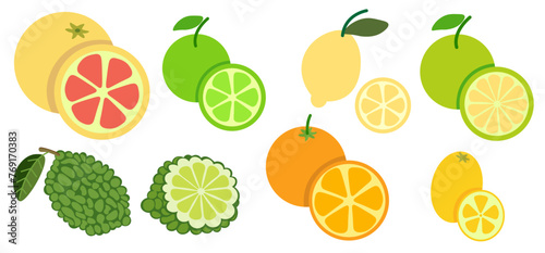 color set of citrus fruits in flat style in vector. image of natural healthy eco food.template for logo sticker poster print decor design