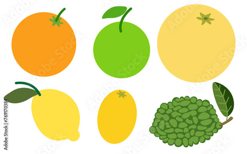 color set of citrus fruits in flat style in vector. image of natural healthy eco food.template for logo sticker poster print decor design