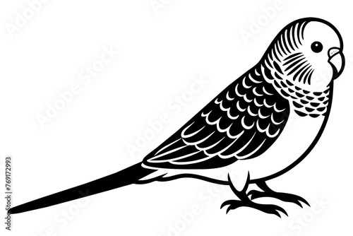 budgerigar silhouette vector illustration