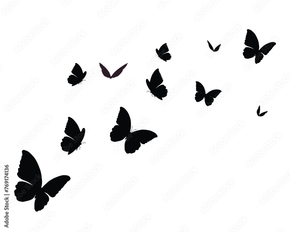 Fototapeta premium decorative black monarh butterflies flowers of retro vintage style butterflies. Vector illustration design for fashion, tee, t shirt, print, poster, graphic, background butterfly