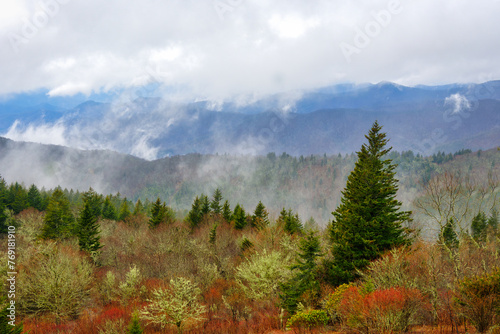 A rainy Spring landscape in the Pisgah National Park of the Blue Ridge Parkway in the Eastern United States. © Mark Alan Howard